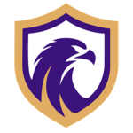 Falcon U17 crest